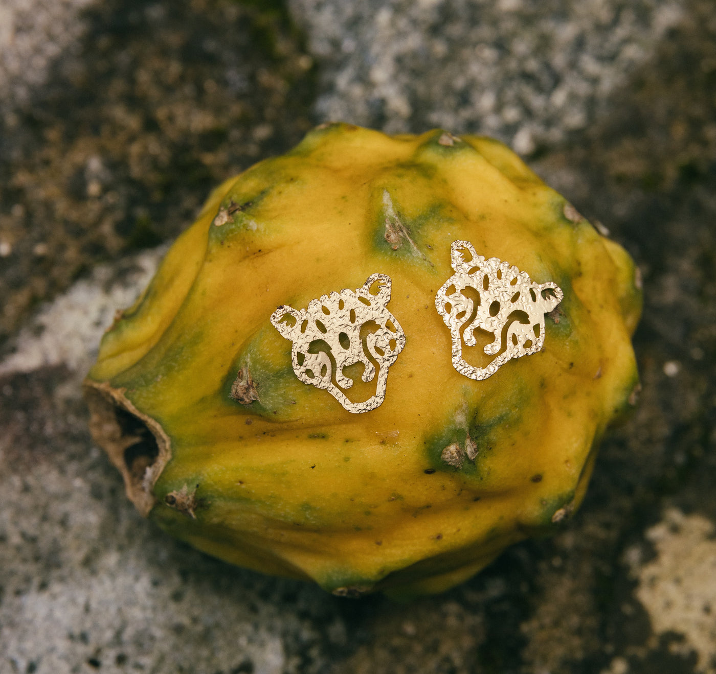 Set Selvática Studs