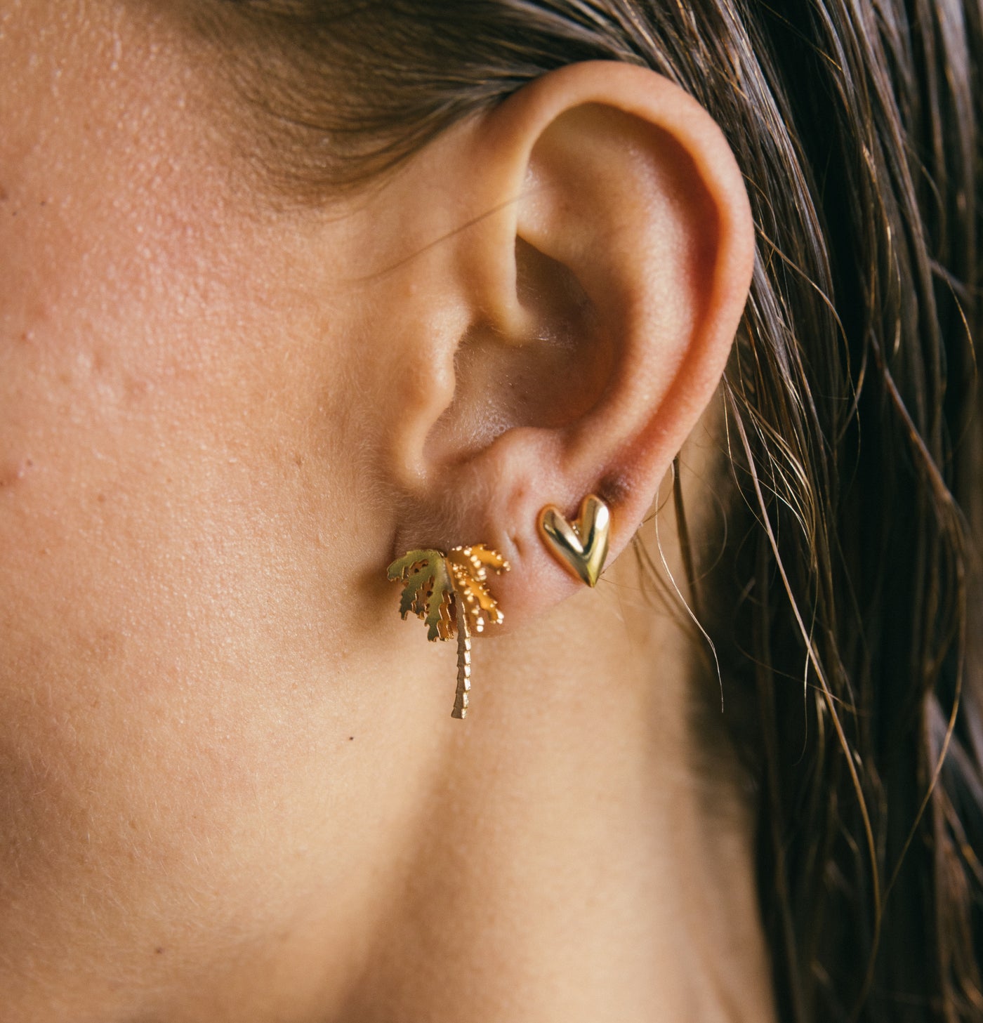 Set Selvática Studs