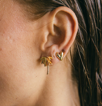 Set Selvática Studs