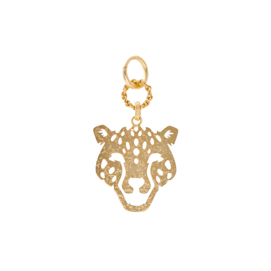 Charm Guardiana