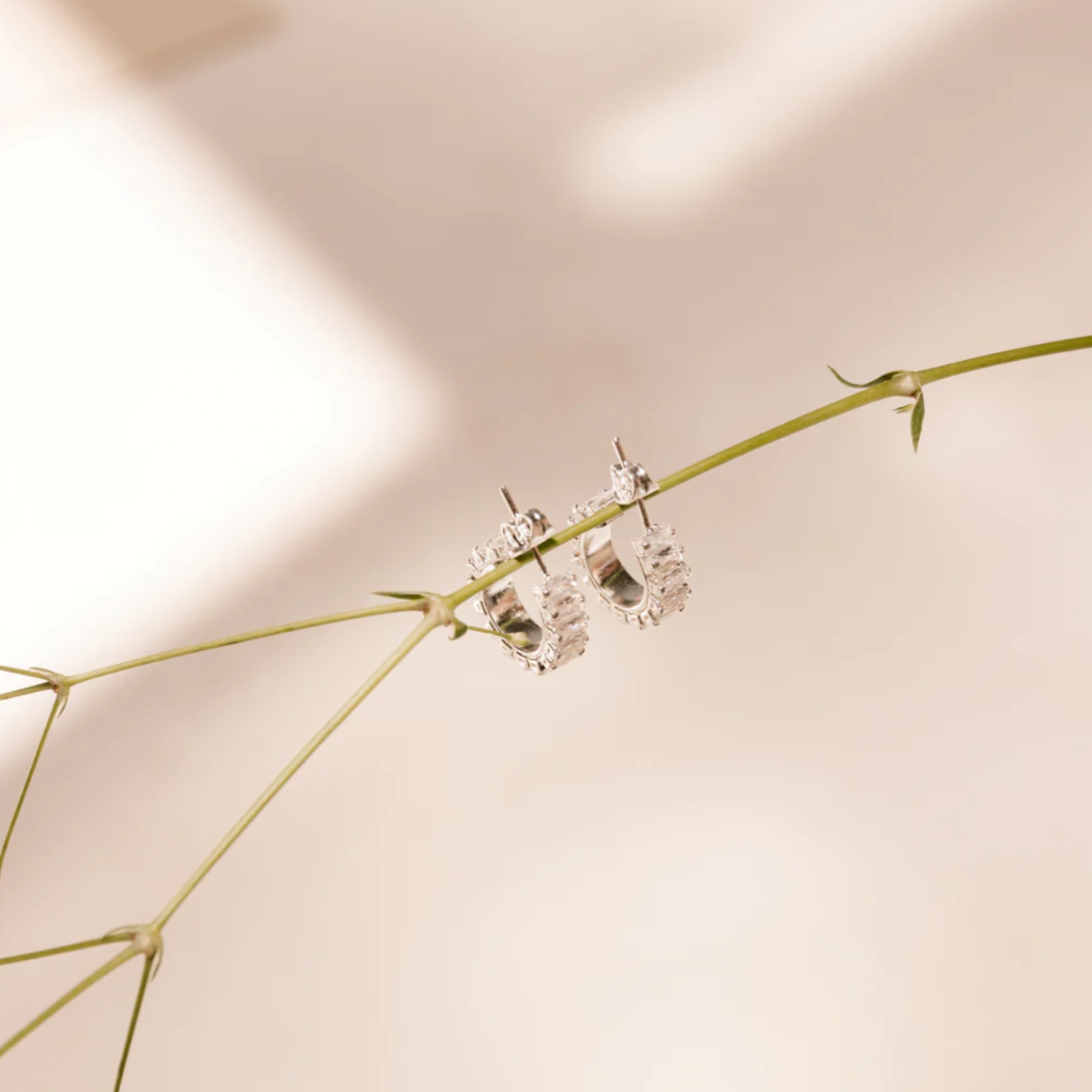 Stella Petite Hoops